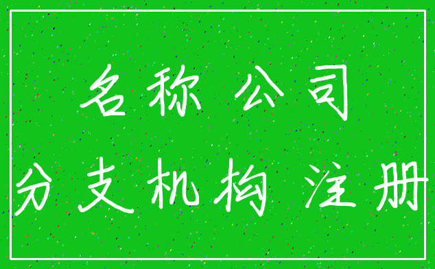 名称 公司_分支机构 注册