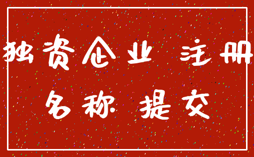 独资企业 注册_名称 提交