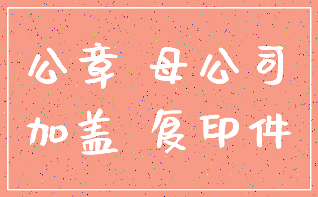 公章 母公司_加盖 复印件