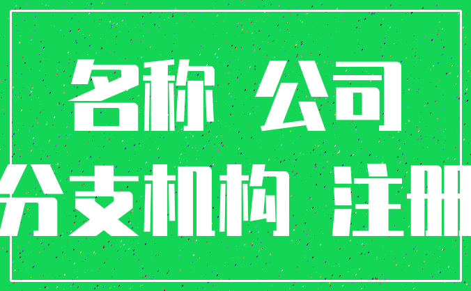 名称 公司_分支机构 注册