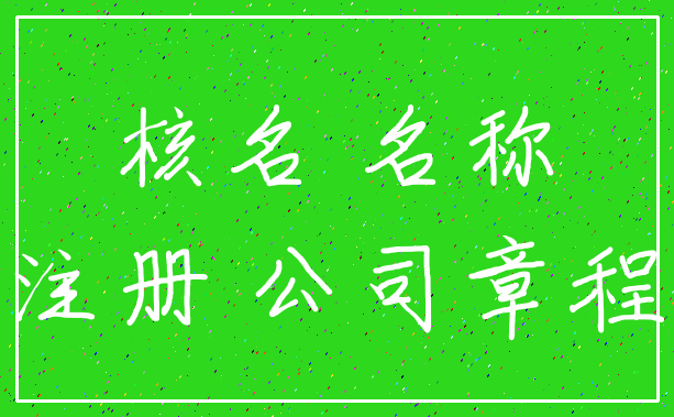 核名 名称_注册 公司章程