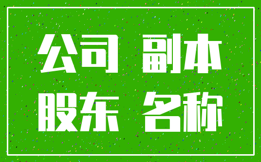 公司 副本_股东 名称