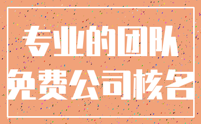 专业的团队_免费公司核名