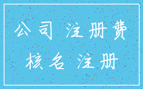 公司 注册费_核名 注册