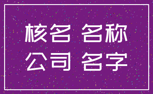 核名 名称_公司 名字