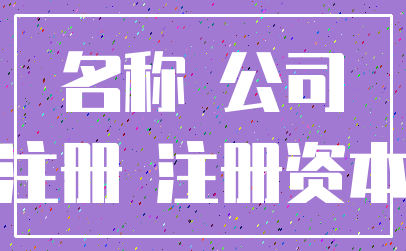 名称 公司_注册 注册资本
