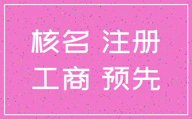 核名 注册_工商 预先