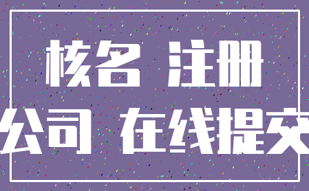 核名 注册_公司 在线提交