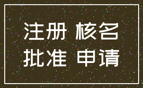 注册 核名_批准 申请