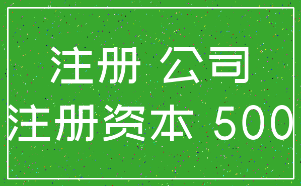 注册 公司_注册资本 500