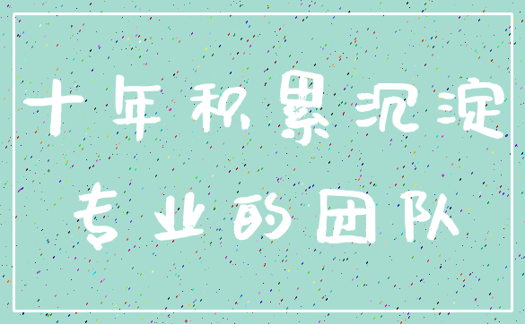 十年积累沉淀_专业的团队