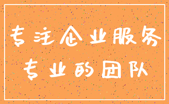 专注企业服务_专业的团队