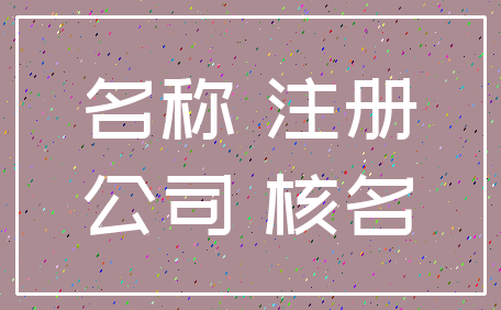 名称 注册_公司 核名