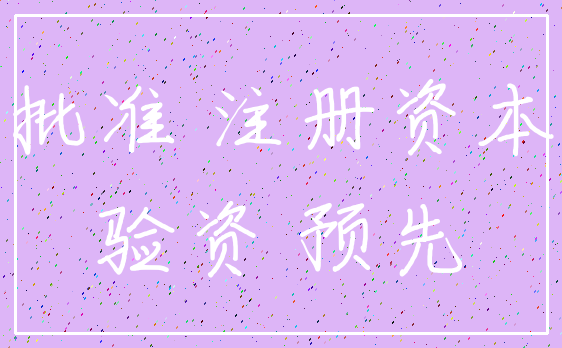 批准 注册资本_验资 预先