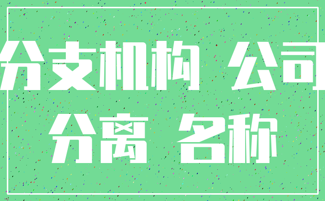 分支机构 公司_分离 名称