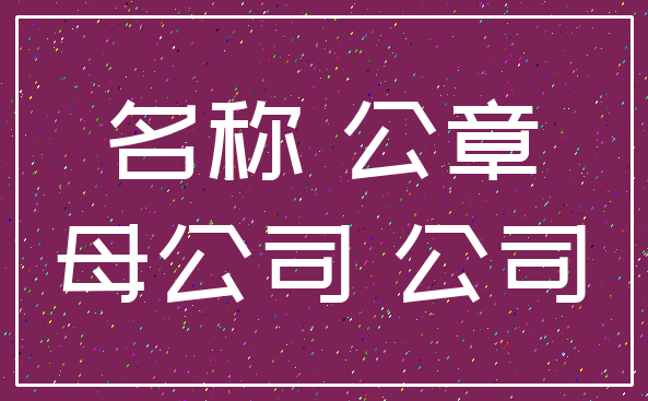 名称 公章_母公司 公司