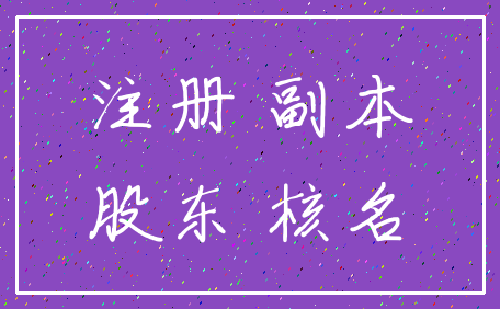 注册 副本_股东 核名