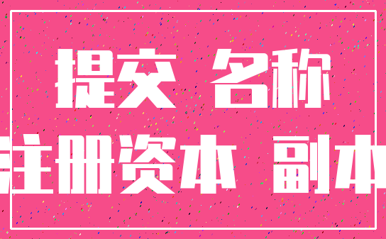 提交 名称_注册资本 副本