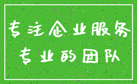 专注企业服务_专业的团队