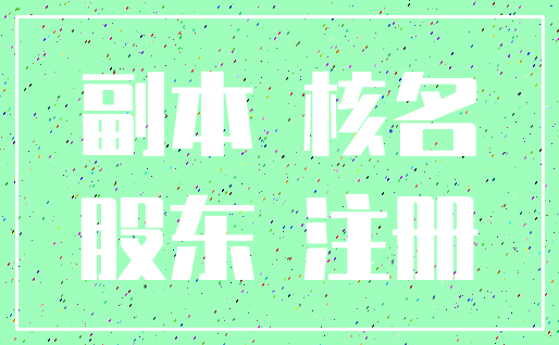 副本 核名_股东 注册