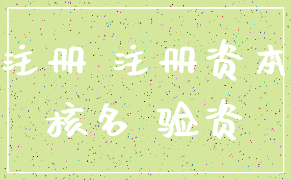 注册 注册资本_核名 验资
