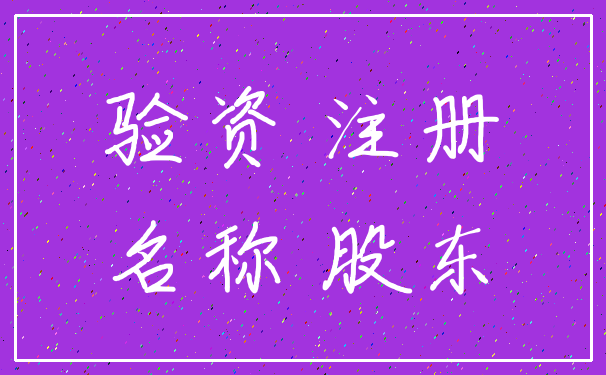 验资 注册_名称 股东