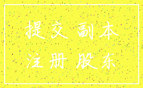 提交 副本_注册 股东