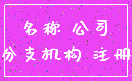 名称 公司_分支机构 注册