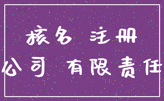 核名 注册_公司 有限责任