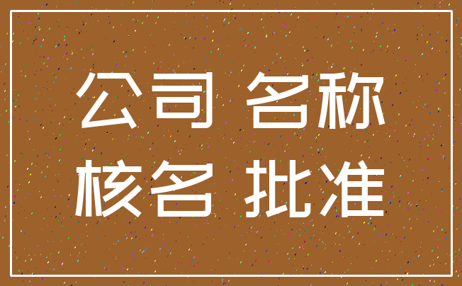 公司 名称_核名 批准