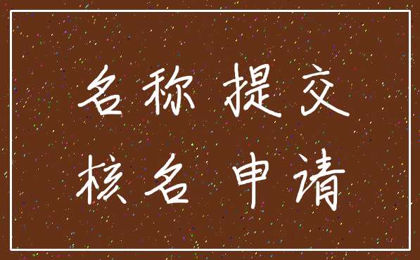 名称 提交_核名 申请