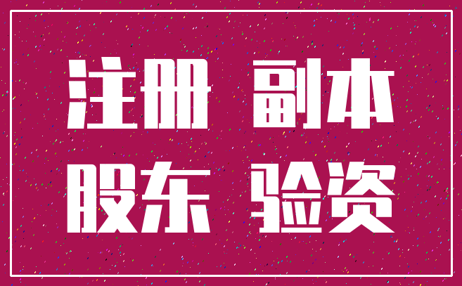 注册 副本_股东 验资