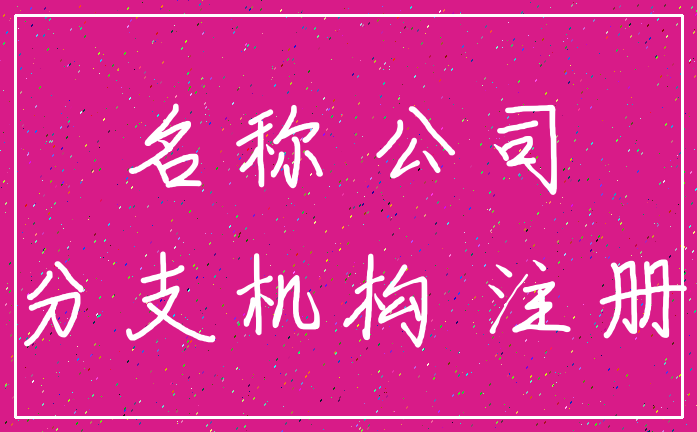 名称 公司_分支机构 注册