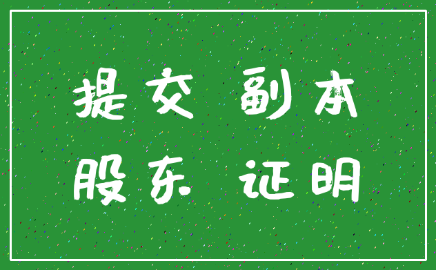 提交 副本_股东 证明