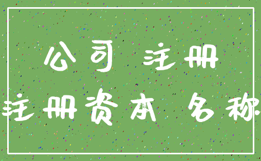 公司 注册_注册资本 名称