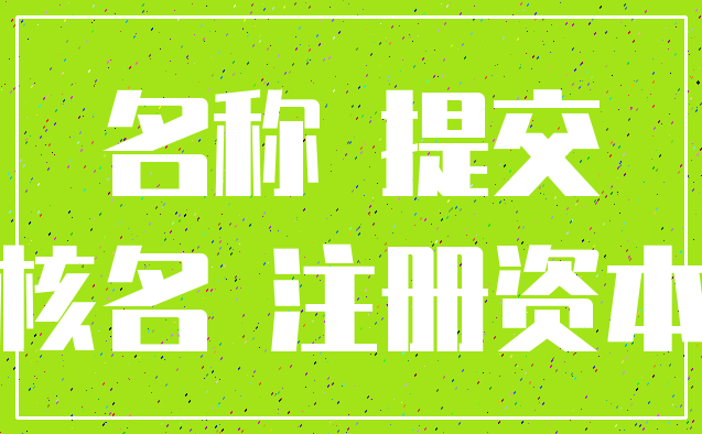 名称 提交_核名 注册资本