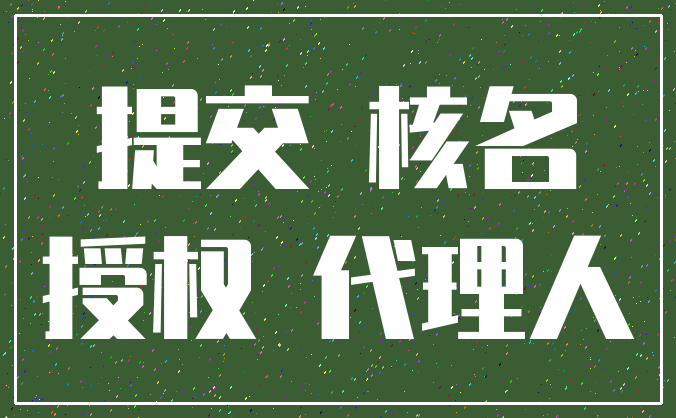 提交 核名_授权 代理人