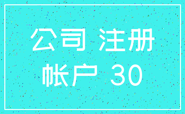 公司 注册_帐户 30