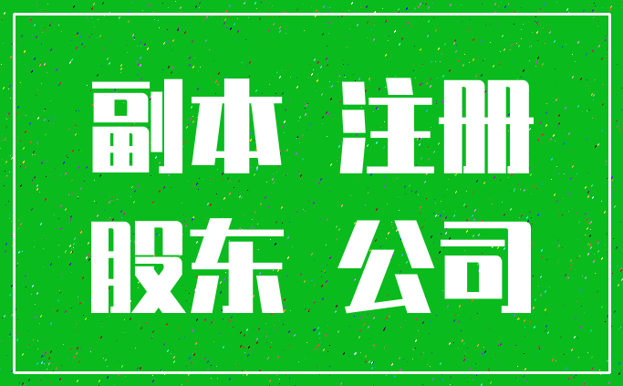 副本 注册_股东 公司