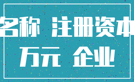名称 注册资本_万元 企业
