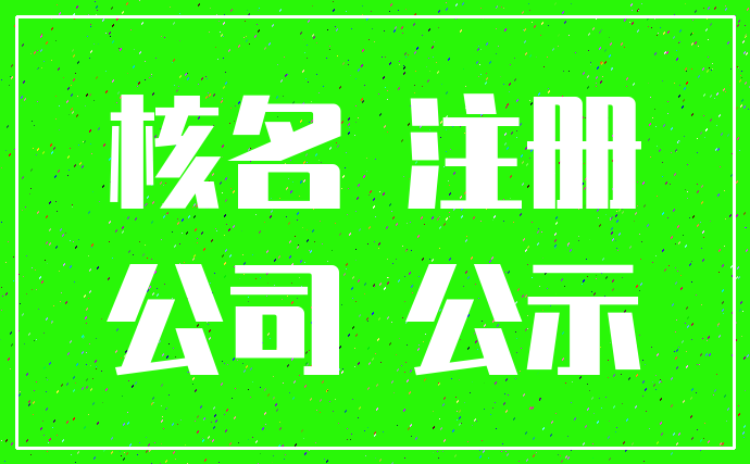 核名 注册_公司 公示