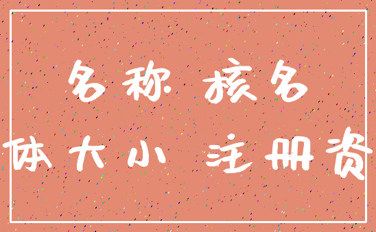 名称 核名_字体大小 注册资本