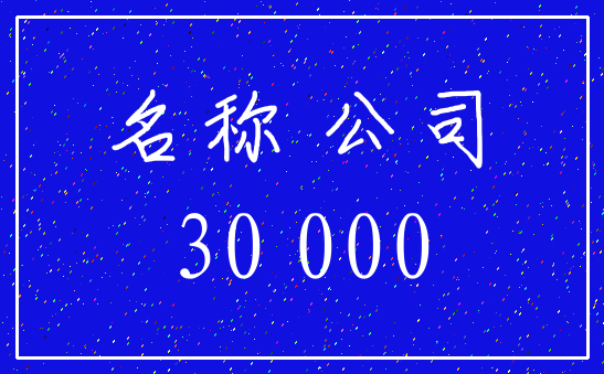 名称 公司_30 000