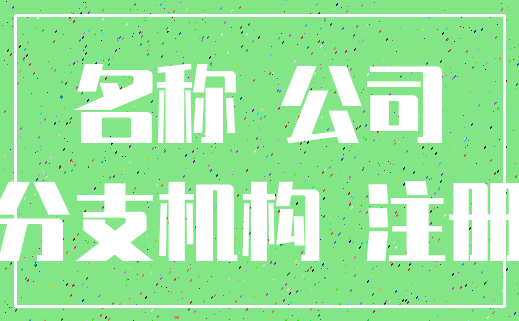 名称 公司_分支机构 注册
