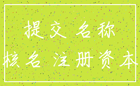 提交 名称_核名 注册资本