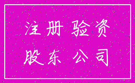 注册 验资_股东 公司