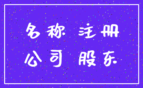 名称 注册_公司 股东