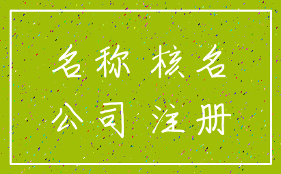 名称 核名_公司 注册