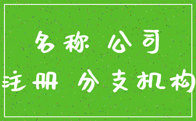 名称 公司_注册 分支机构