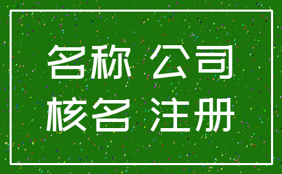 名称 公司_核名 注册